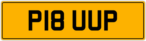 Pick truck old - old, reg