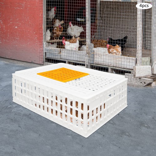 Pcs plastic poultry - 4,