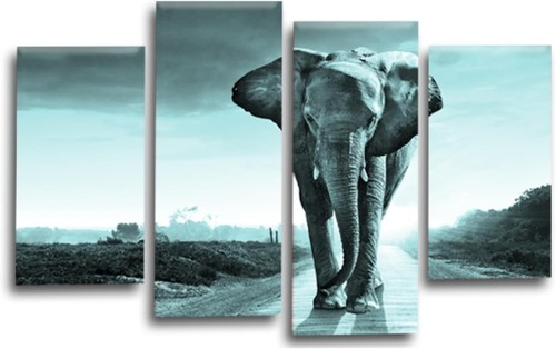 Elephant wall art duck - elephant,