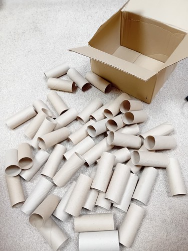 Empty cardboard toilet roll - empty,