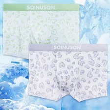 Thin Ice Silk Mens Underwear