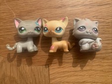Littlest Pet Shop LPS RARE Cat