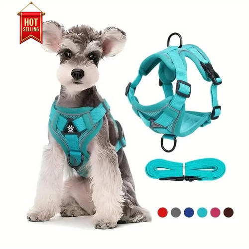 Cat dog harness - cat,