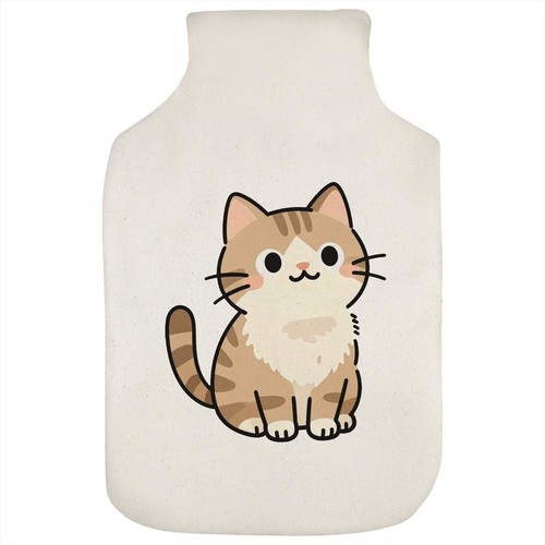 European shorthair cat - 'european, cat'
