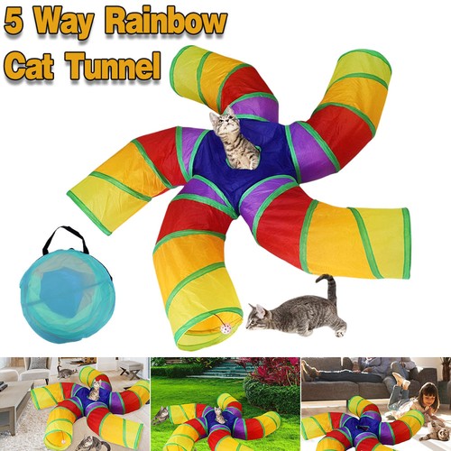 Way cat tunnel rainbow play - cat,