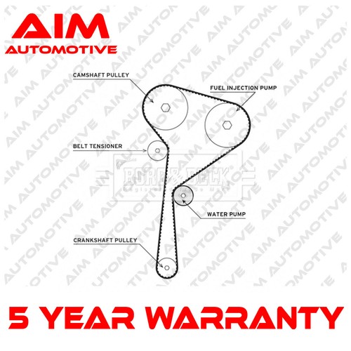 Timing cam belt - cam,