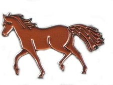 Chestnut Brown Pony Horse