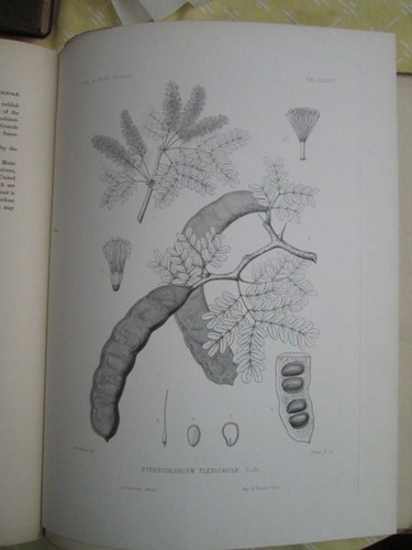 Vintage print plate - vintage, print,plate