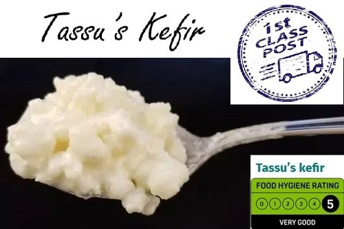 15gms kefir grains fast 1st - 15gms, grains,