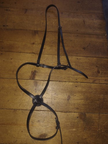 Full size grackle nose - full,