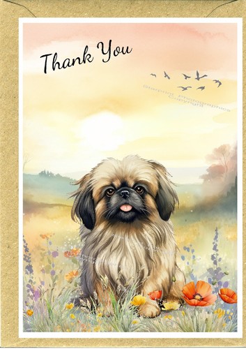 Pekingese peke dog thank you - peke,
