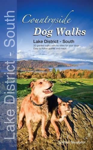 Countryside dog walks lake - countryside,