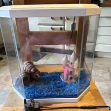 First Starter Fish Tank