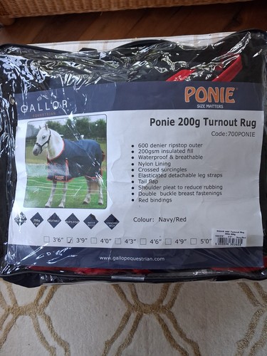 Gallop ponie shetland - gallop, turnout