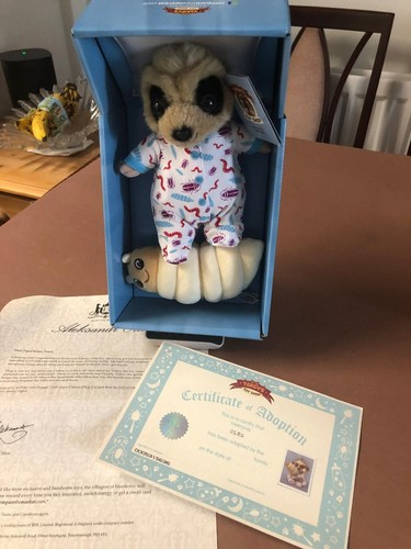 Compare the meerkat - the,