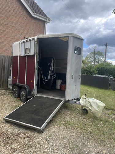 Ifor williams hb510 - williams, horse