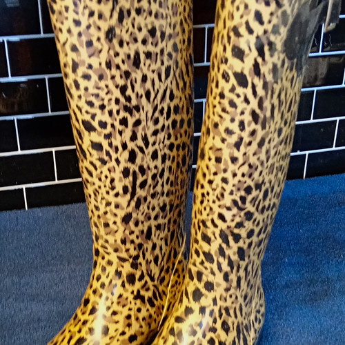 Women beige black leopard - women’s, beige/black