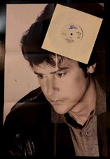 Shakin' Stevens Feel The Need