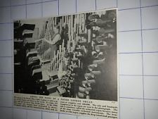 Royal Albert hall organ pipes