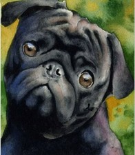 Full Drill 5D Cross Stitch