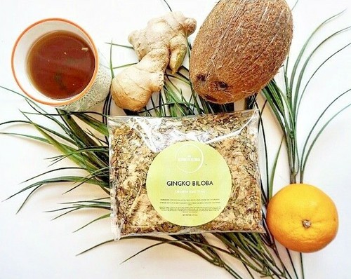 Ginkgo biloba dried herb tea - biloba,