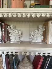 Coral And Perspex Decorative