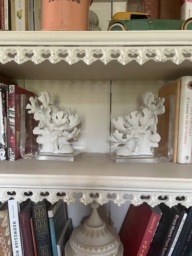 Coral and perspex - and, decorative