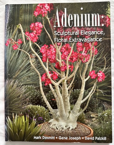 Adenium sculptural elegance - adenium:,