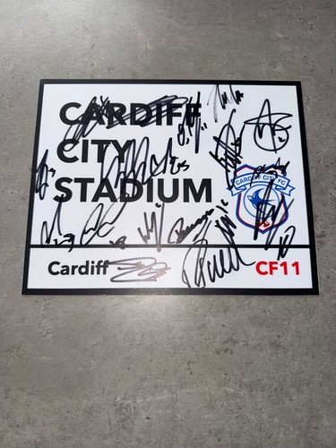 Cardiff city signed 2026 - cardiff,