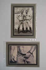 2 B&W Gay Interest Bears