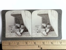 Man-eating Alligators of India