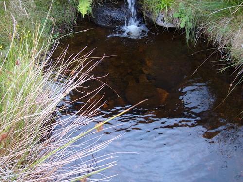 Photo small plunge pool - photo,