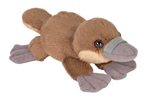 New platypus wild republic - new,
