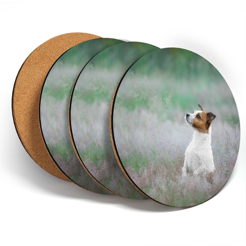 Coasters cheeky jack - 4,