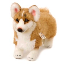 Welsh Corgi Dog by Kosen /