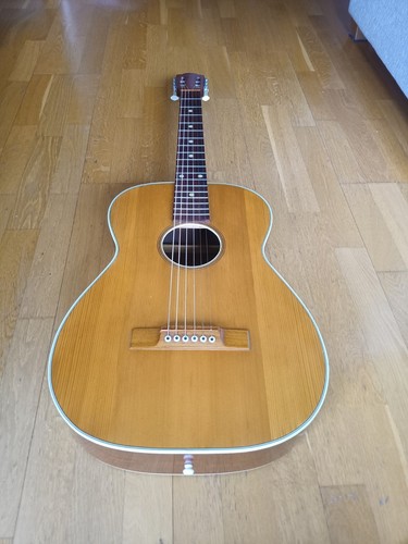 Guitar herman carlson levin - guitar,