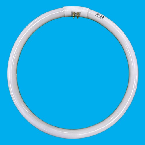 32w g10q pin - pin, t5