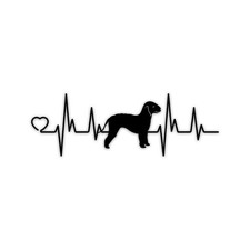Bedlington terrier heartbeat - bedlington,