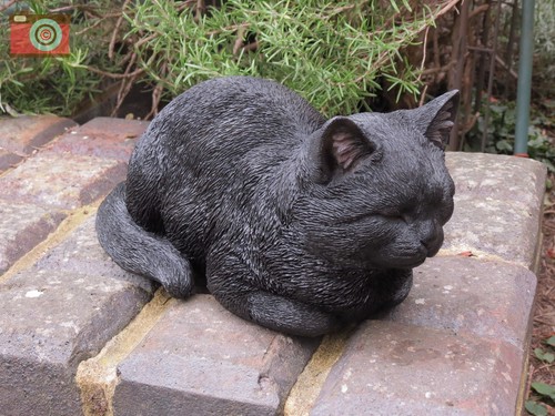 Dreaming black cat vivid - black,