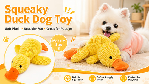 Medium squeaky duck - squeaky, toy