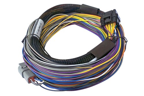 Haltech ecu elite - 750, basic