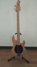 Musicman electric bass - electric,