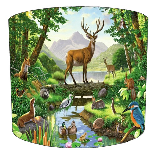 Woodland forest animals - forest,
