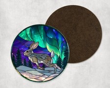 Arctic Hare Rabbit Northern