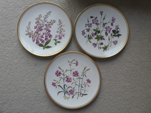 Spode wild flowers collectors - spode,