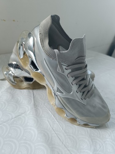 Mizuno wave prophecy - mizuno,