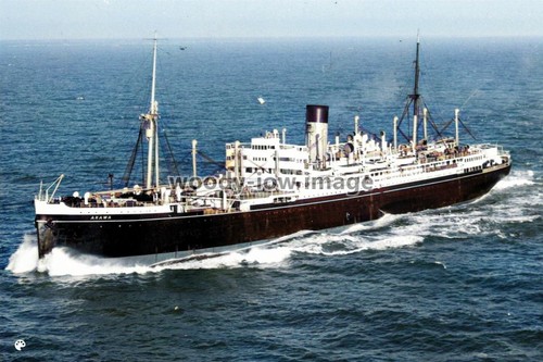 Azc0027 shaw savill liner - azc0027,