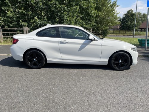 Bmw 218d manual six speed - 218d,