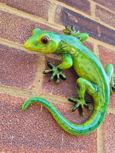 Glossy gecko lizard wall art - wall,
