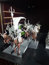 Wild Riders Wood Elf Realms